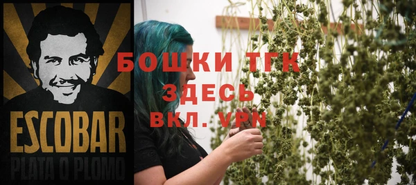тгк Дмитров