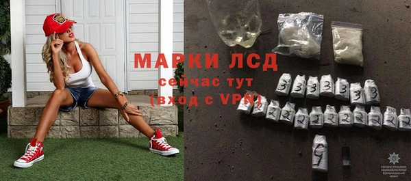 тгк Дмитров