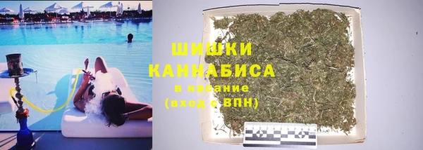 тгк Дмитров