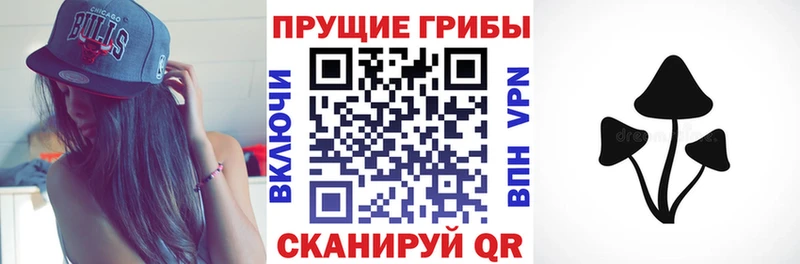 Галлюциногенные грибы Psilocybe  Купить где  Волхов 
